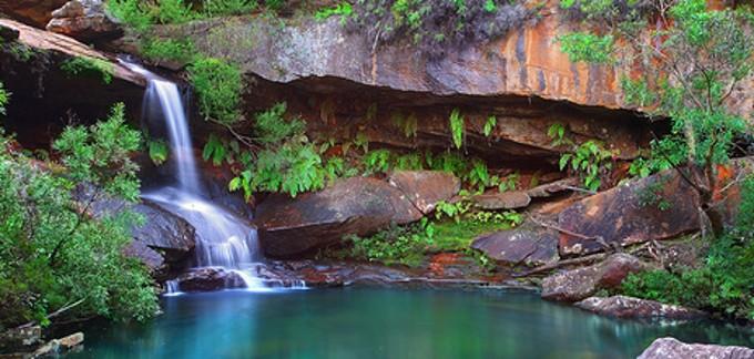 Voyage sur-mesure, Ku Ring Gai Chase National Park